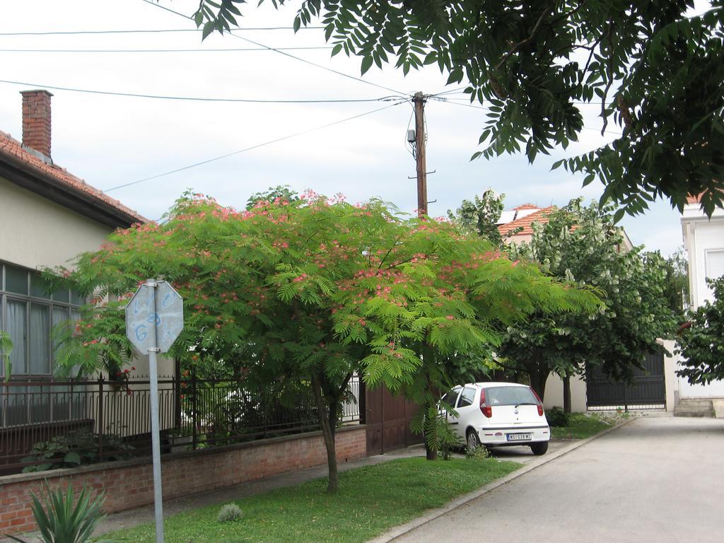 Green Apartment Novi Sad Buitenkant foto