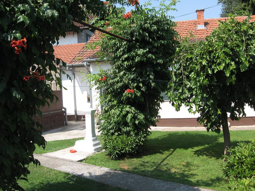 Green Apartment Novi Sad Buitenkant foto