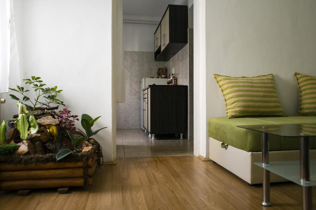 Green Apartment Novi Sad Buitenkant foto